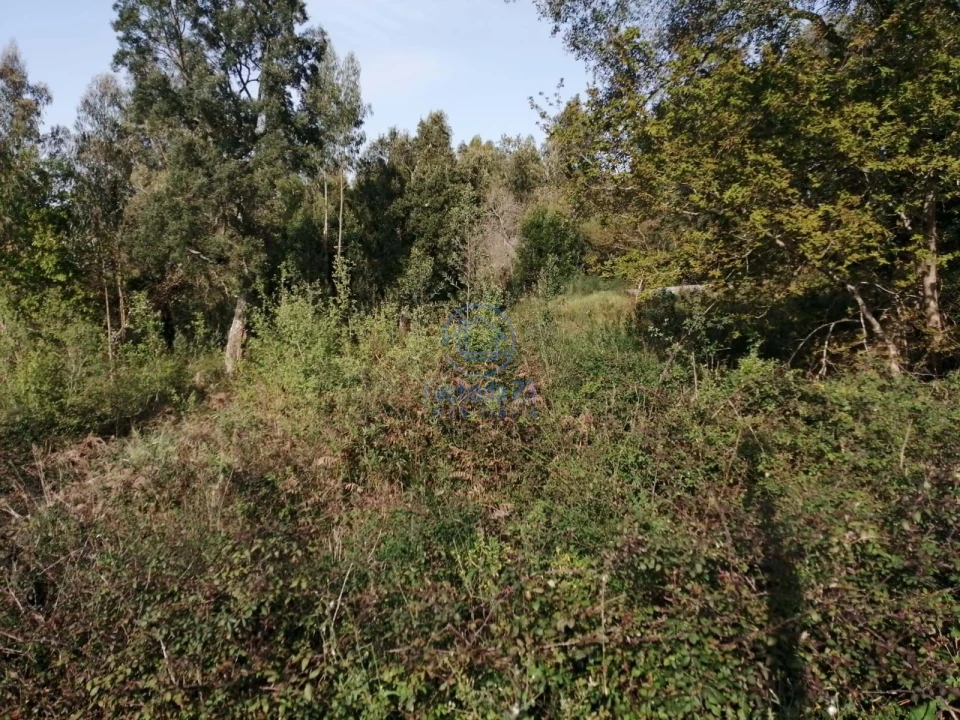 Terreno para Venda em Santa Marinha e São Pedro da Afurada Foto 5