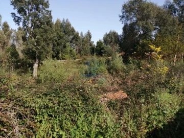 Terreno para Venda em Santa Marinha e São Pedro da Afurada