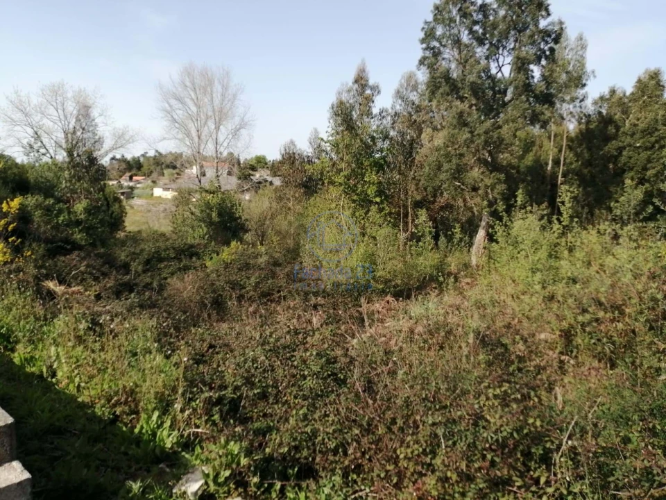 Terreno para Venda em Santa Marinha e São Pedro da Afurada Foto 1