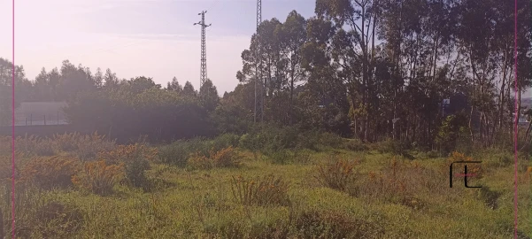 Terreno para Venda em Pedrouços