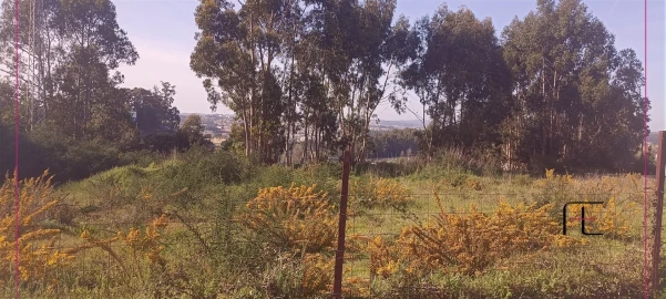 Terreno para Venda em Pedrouços