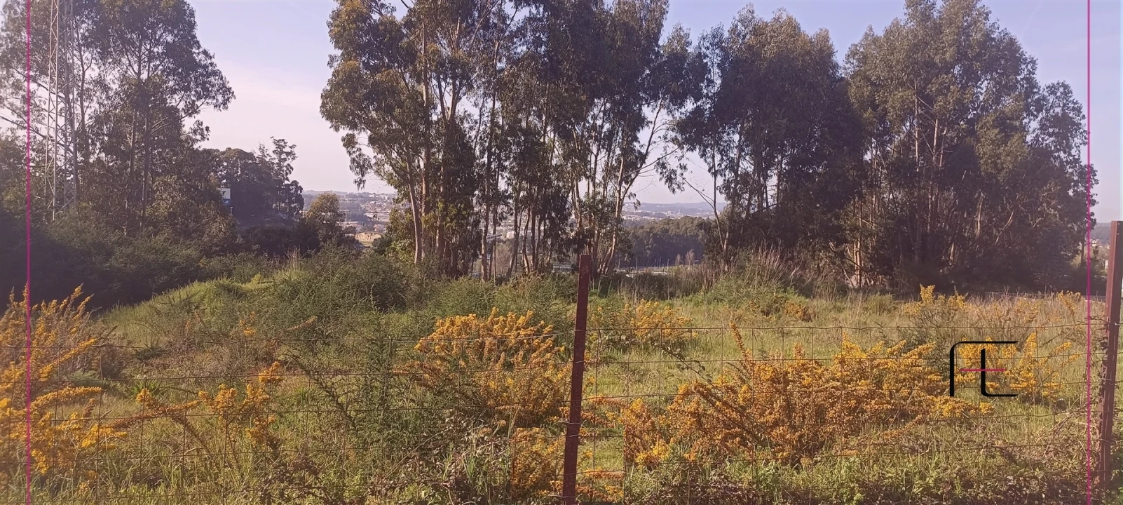 Terreno para Venda em Pedrouços Foto 5