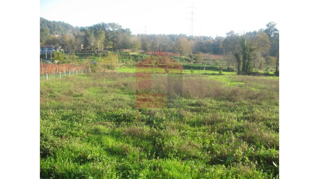 Terreno para Venda em Fiscal Foto 8