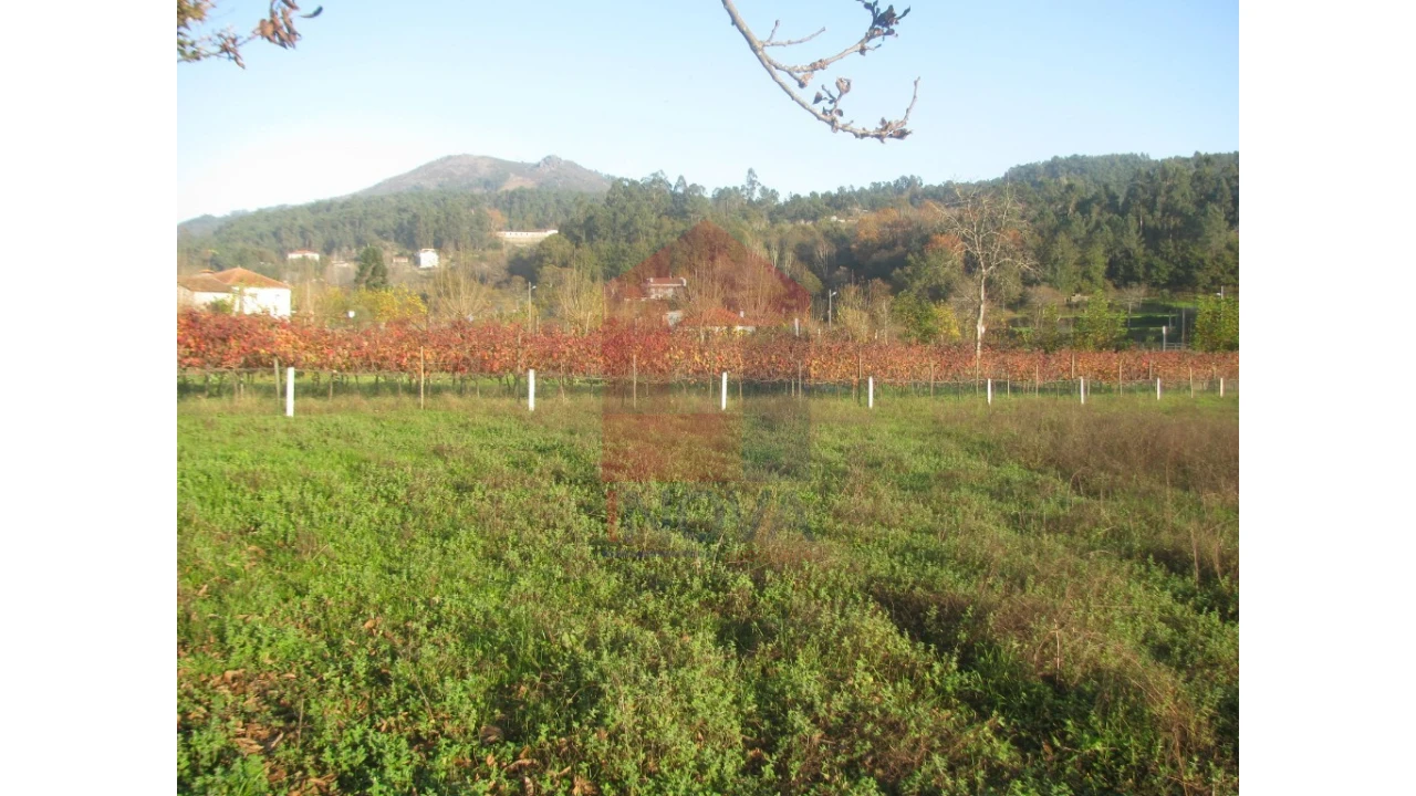 Terreno para Venda em Fiscal Foto 6