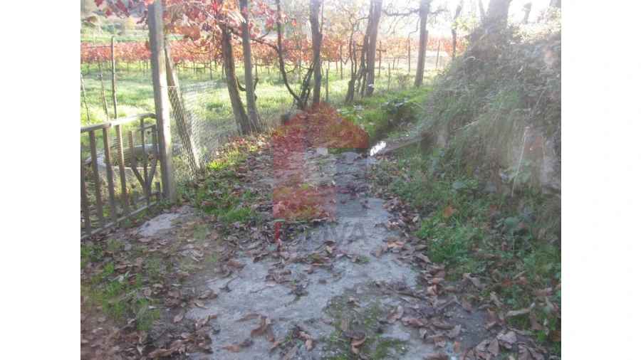 Terreno para Venda em Fiscal Foto 11