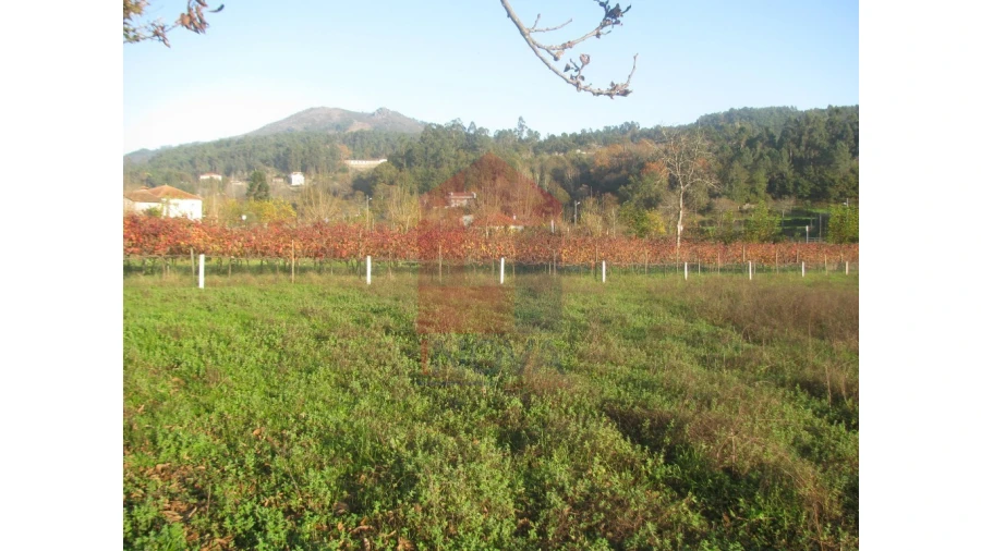 Terreno para Venda em Fiscal Foto 6