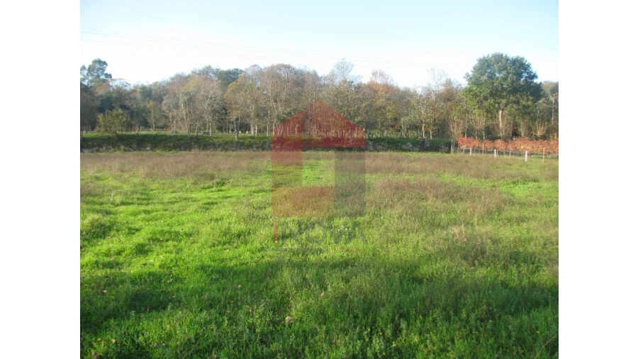 Terreno para Venda em Fiscal Foto 2