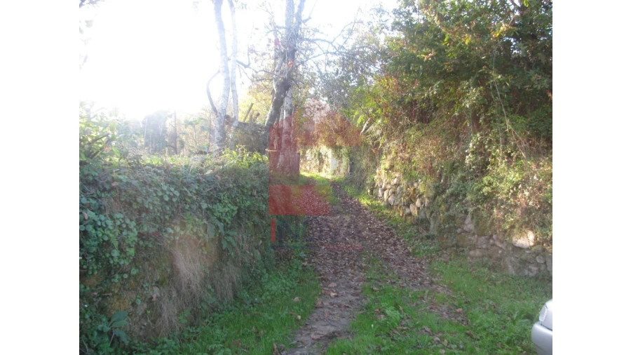 Terreno para Venda em Fiscal Foto 10