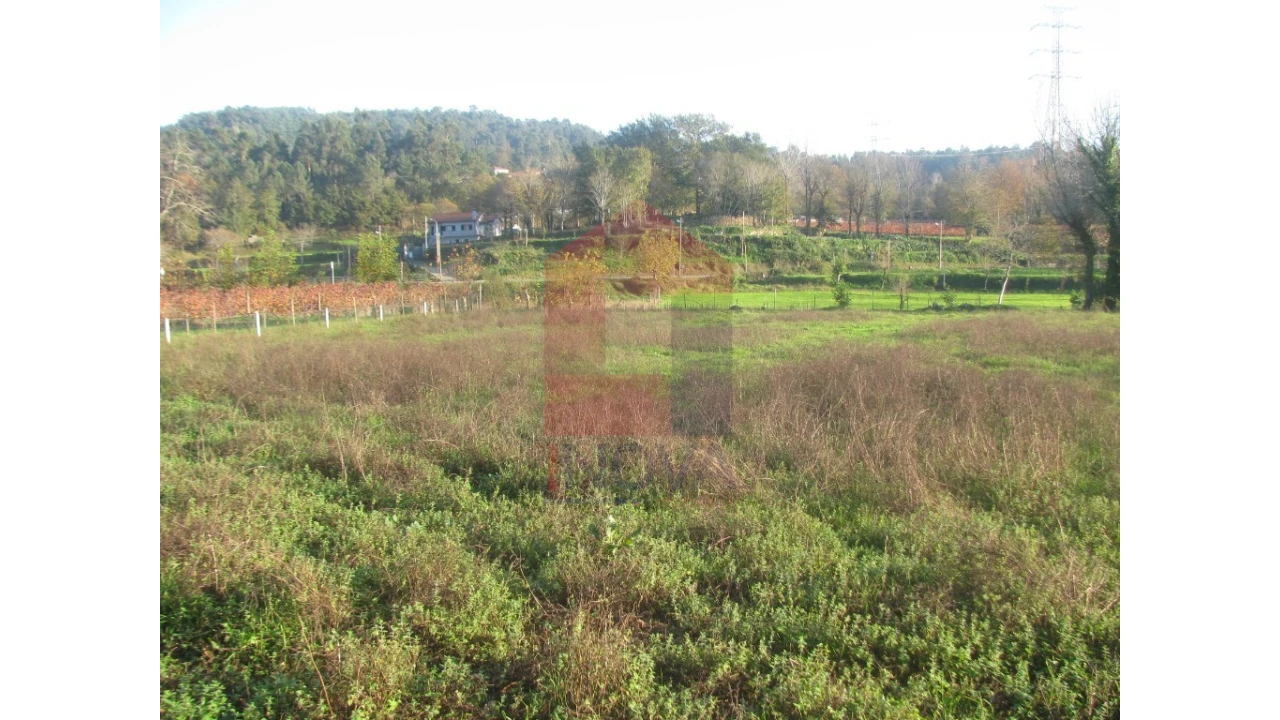 Terreno para Venda em Fiscal Foto 7