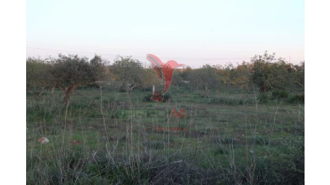Terreno para Venda em Paderne
