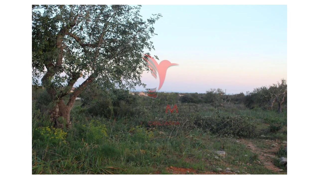 Terreno para Venda em Paderne Foto 1