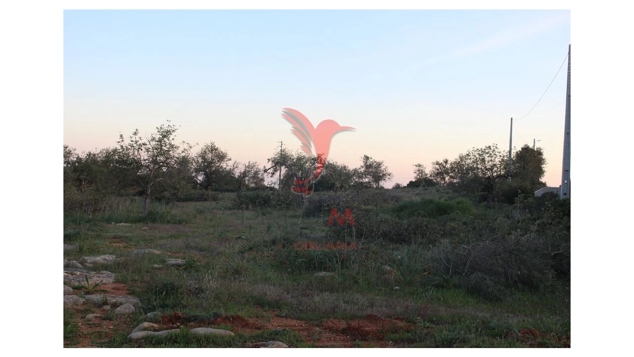 Terreno para Venda em Paderne Foto 3