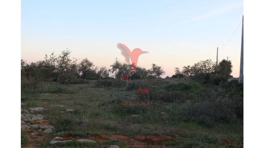 Terreno para Venda em Paderne Foto 3