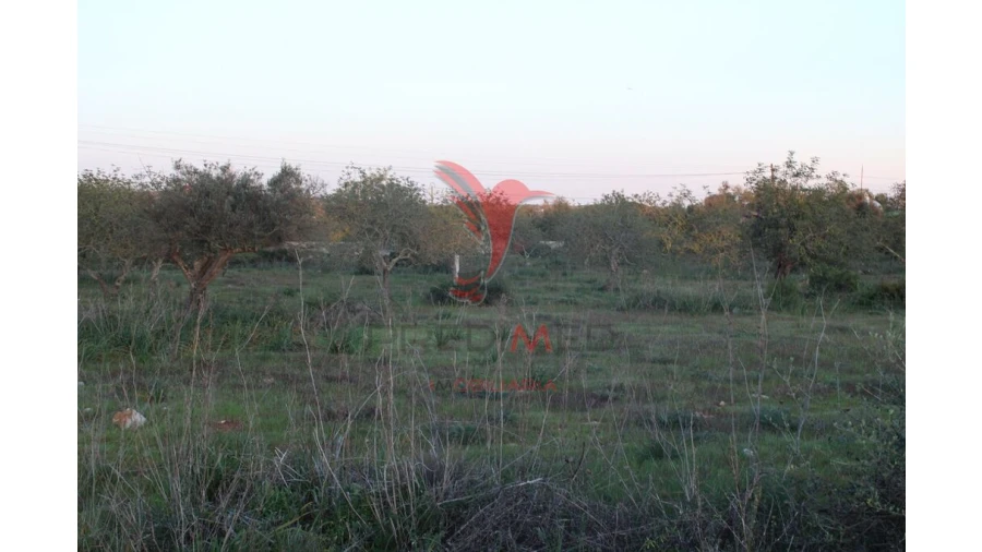 Terreno para Venda em Paderne Foto 2