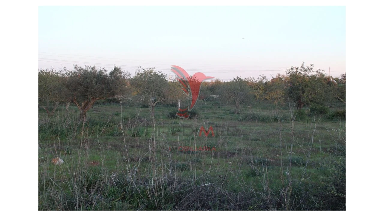 Terreno para Venda em Paderne Foto 2
