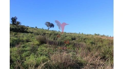 Terreno para Venda em São Bartolomeu de Messines