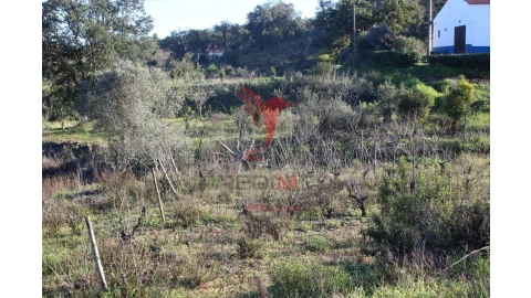 Terreno para Venda em São Bartolomeu de Messines
