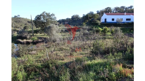 Terreno para Venda em São Bartolomeu de Messines