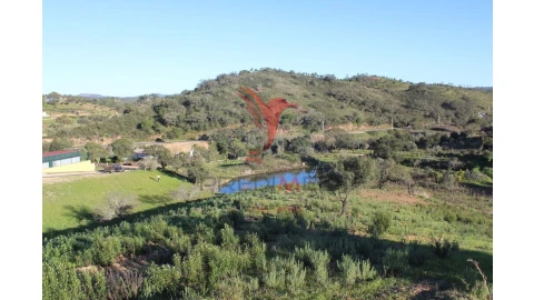 Terreno para Venda em São Bartolomeu de Messines
