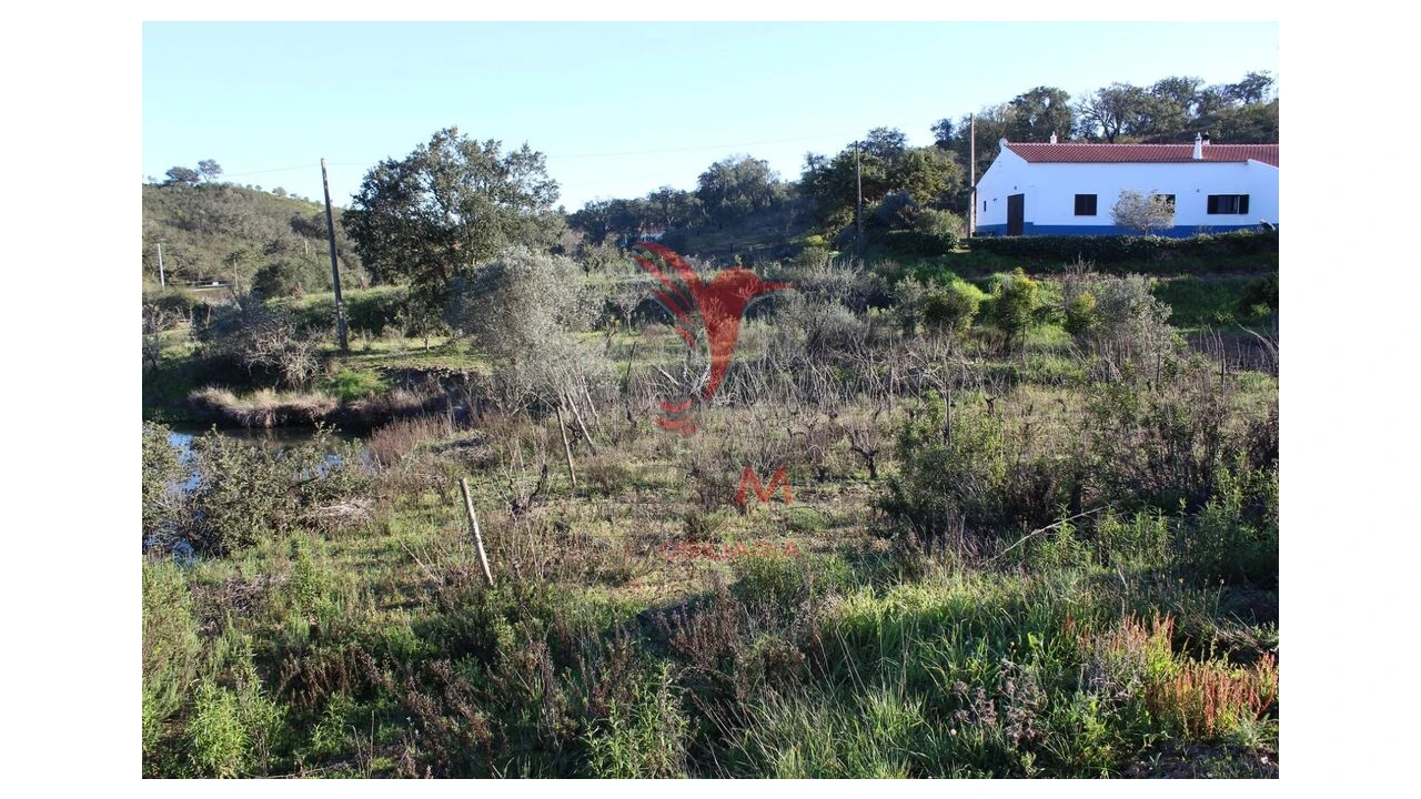 Terreno para Venda em São Bartolomeu de Messines Foto 1