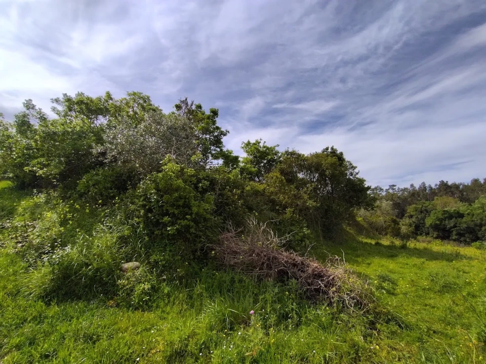 Terreno para Venda em Maiorca Foto 5