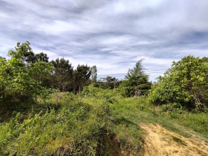 Terreno para Venda em Maiorca Foto 2