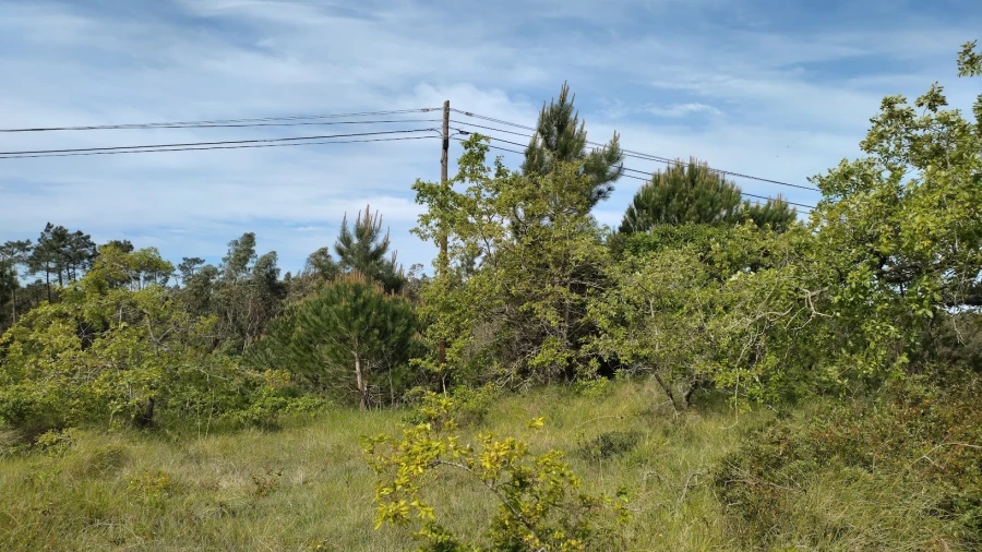 Terreno para Venda em Maiorca Foto 3