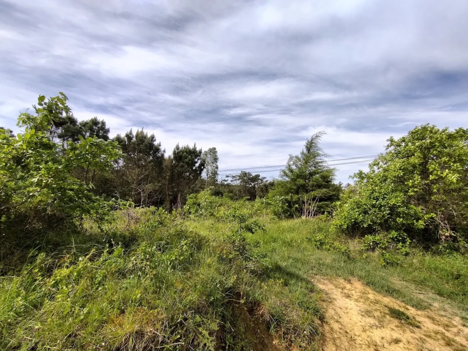 Terreno para Venda em Maiorca Foto 2