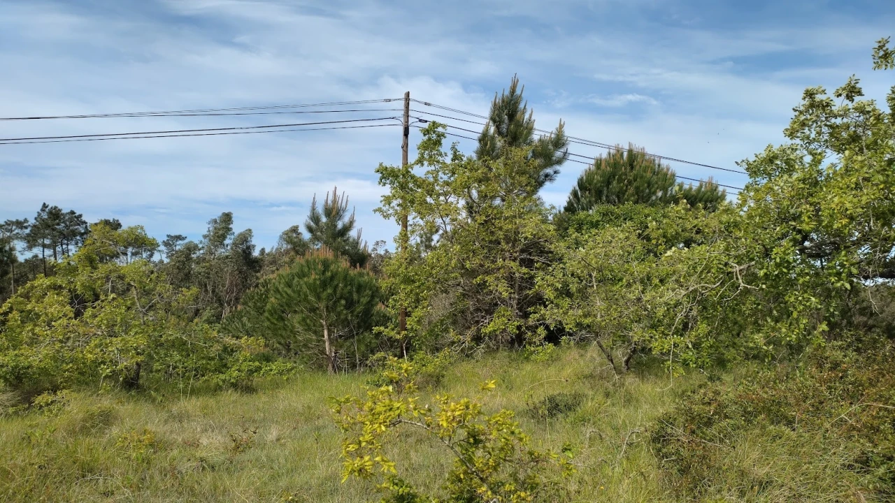 Terreno para Venda em Maiorca Foto 3