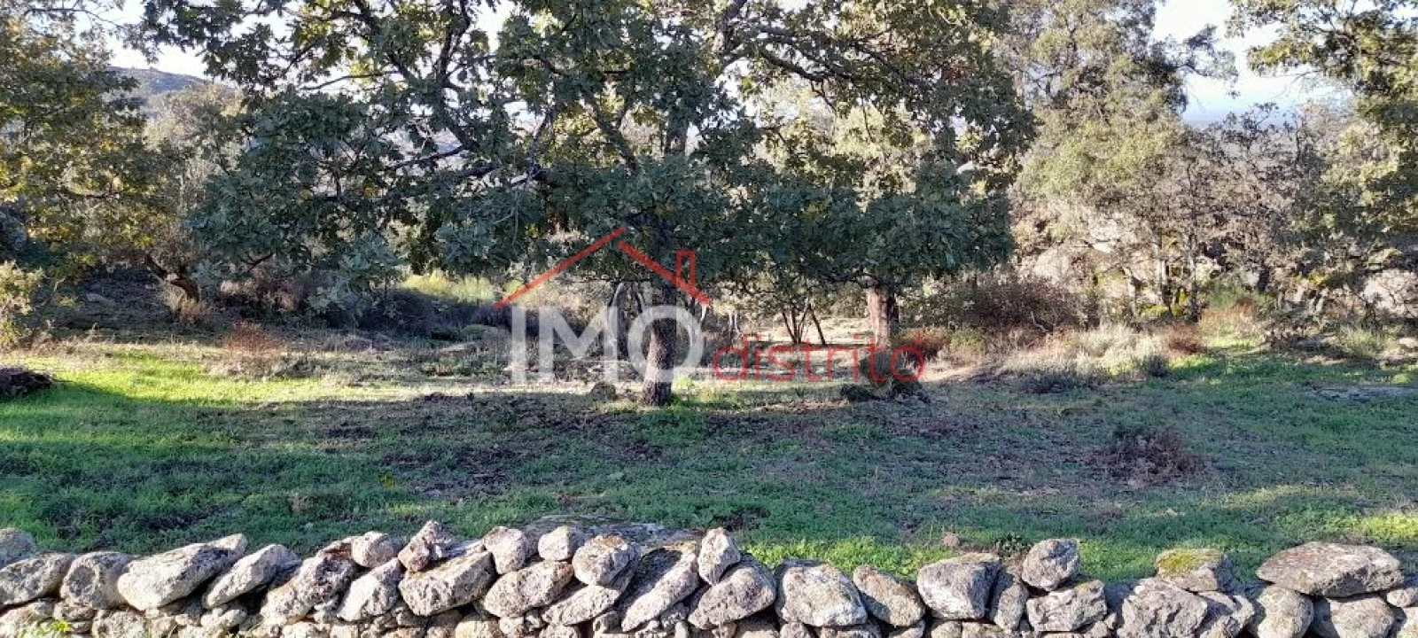 Quinta T4 para Venda em Santa Maria de Marvão Foto 13