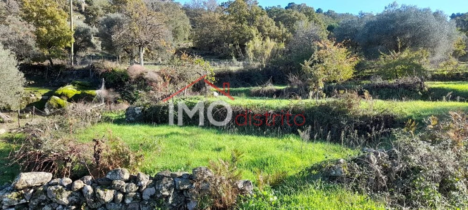 Quinta T4 para Venda em Santa Maria de Marvão Foto 21