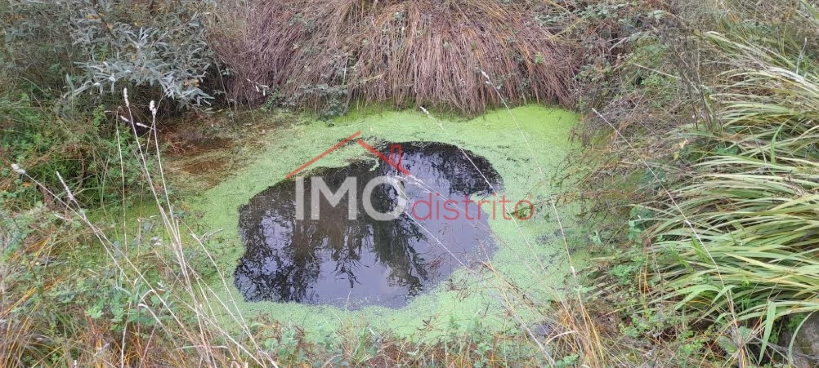 Quinta T4 para Venda em Santa Maria de Marvão Foto 22