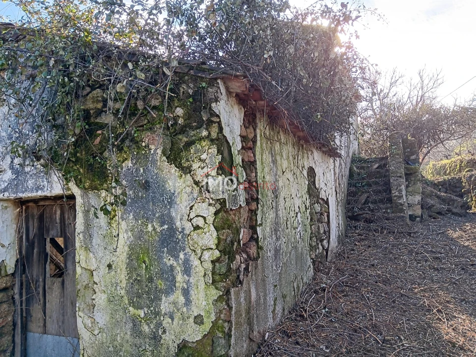 Quinta T4 para Venda em Santa Maria de Marvão Foto 6