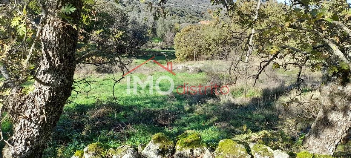 Quinta T4 para Venda em Santa Maria de Marvão Foto 18