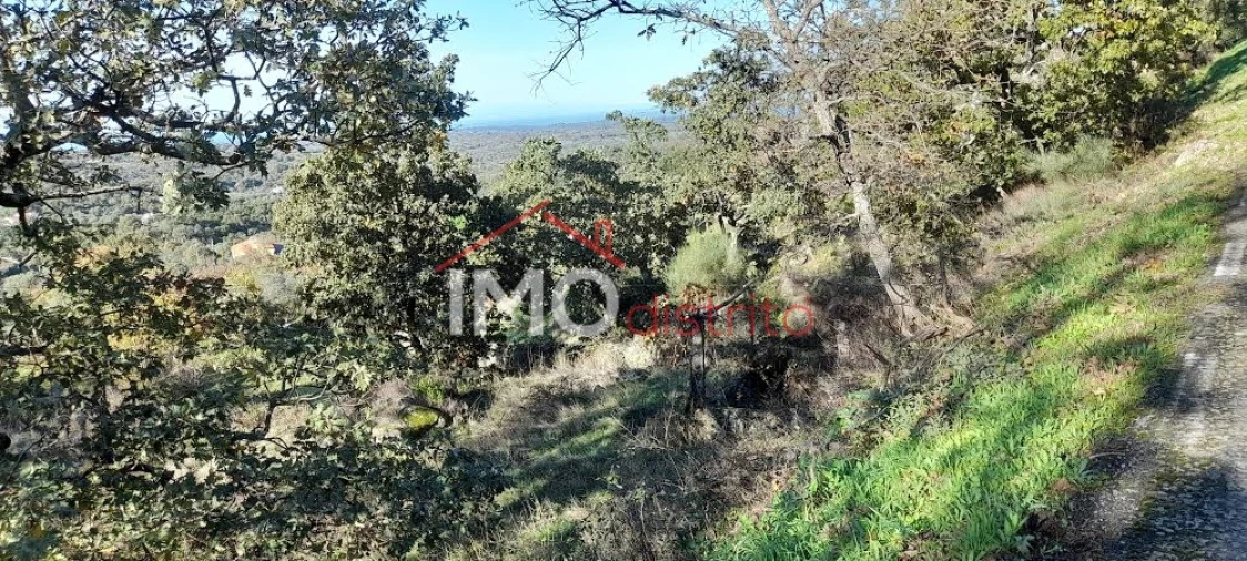 Quinta T4 para Venda em Santa Maria de Marvão Foto 20