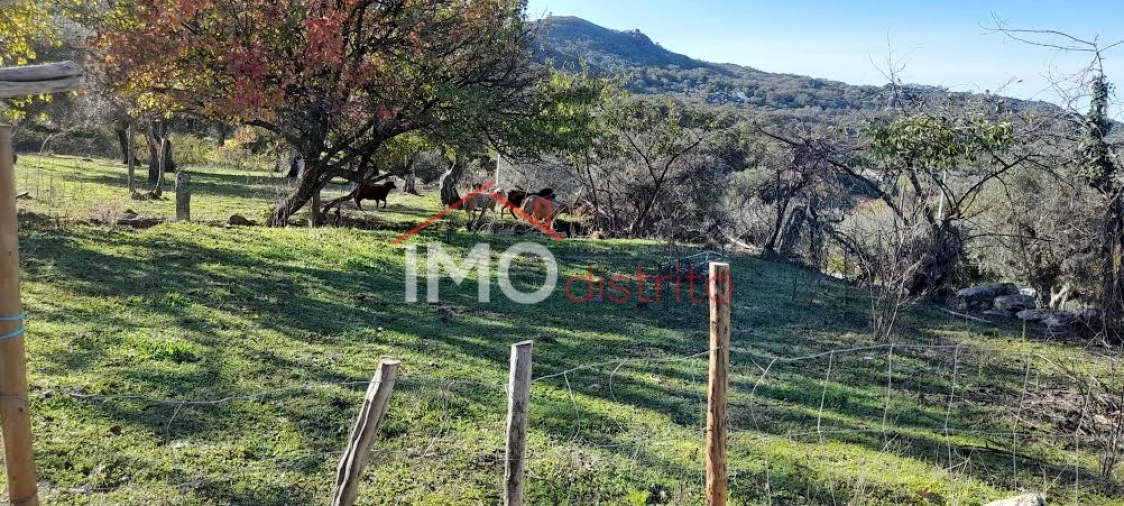 Quinta T4 para Venda em Santa Maria de Marvão Foto 14