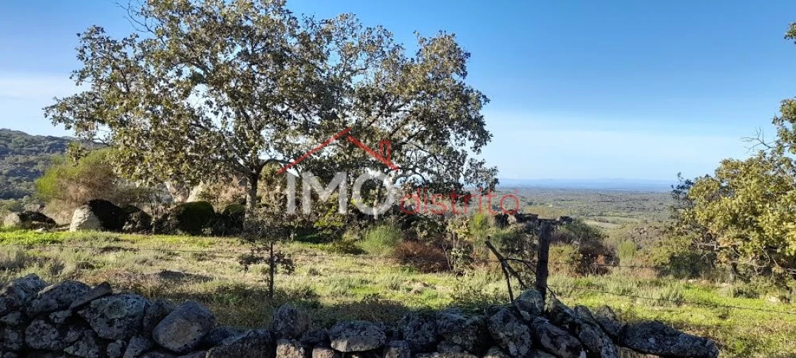 Quinta T4 para Venda em Santa Maria de Marvão Foto 11