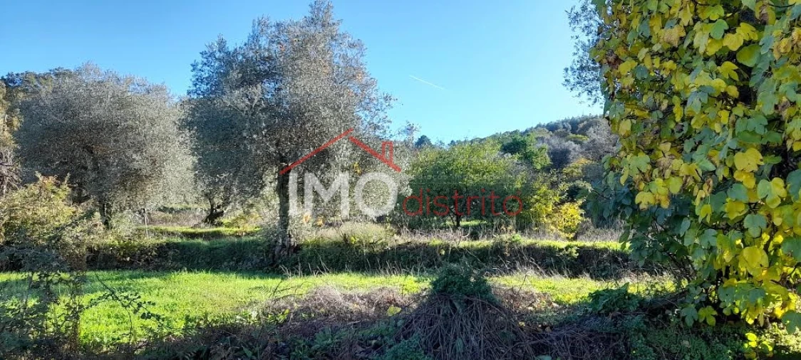 Quinta T4 para Venda em Santa Maria de Marvão Foto 17