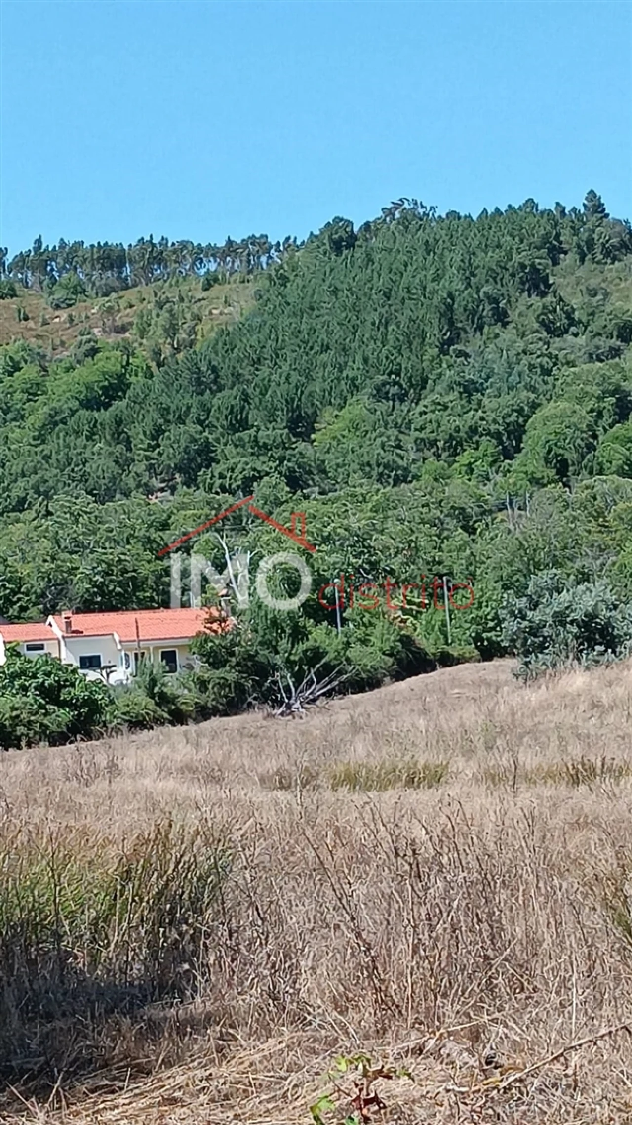 Terreno Agricola ou Rústico para Venda em São Salvador da Aramenha Foto 3