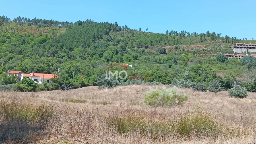 Terreno Agricola ou Rústico para Venda em São Salvador da Aramenha Foto 2