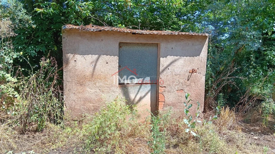 Terreno Agricola ou Rústico para Venda em São Salvador da Aramenha Foto 4