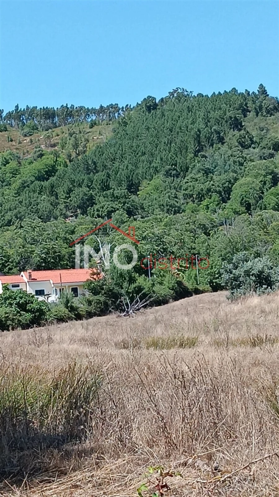 Terreno Agricola ou Rústico para Venda em São Salvador da Aramenha Foto 3