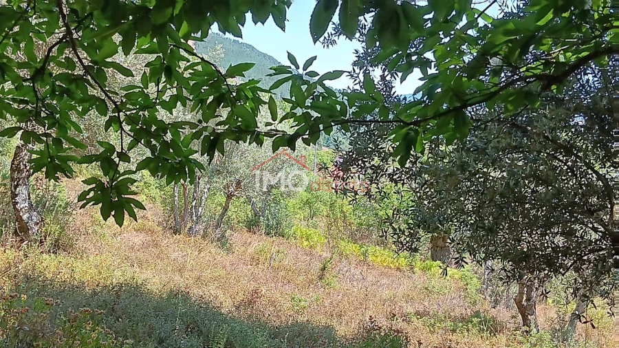 Terreno Agricola ou Rústico para Venda em São Salvador da Aramenha Foto 7