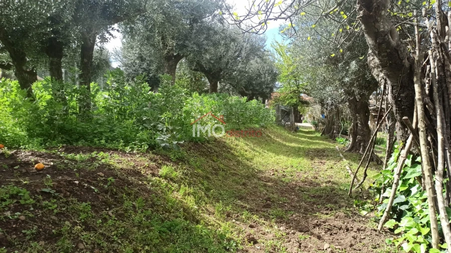 Moradia T3 para Venda em São João Baptista Foto 5