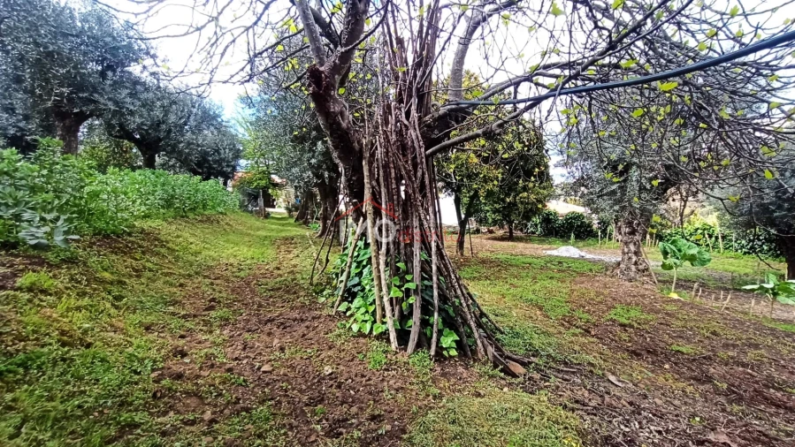 Moradia T3 para Venda em São João Baptista Foto 8