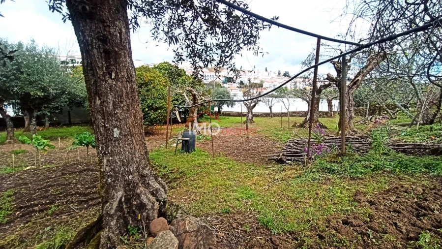 Moradia T3 para Venda em São João Baptista Foto 9