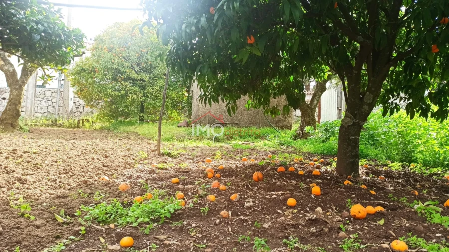 Moradia T3 para Venda em São João Baptista Foto 3