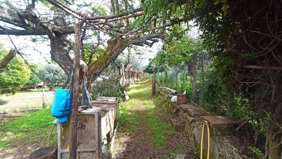 Moradia T3 para Venda em São João Baptista Foto 12