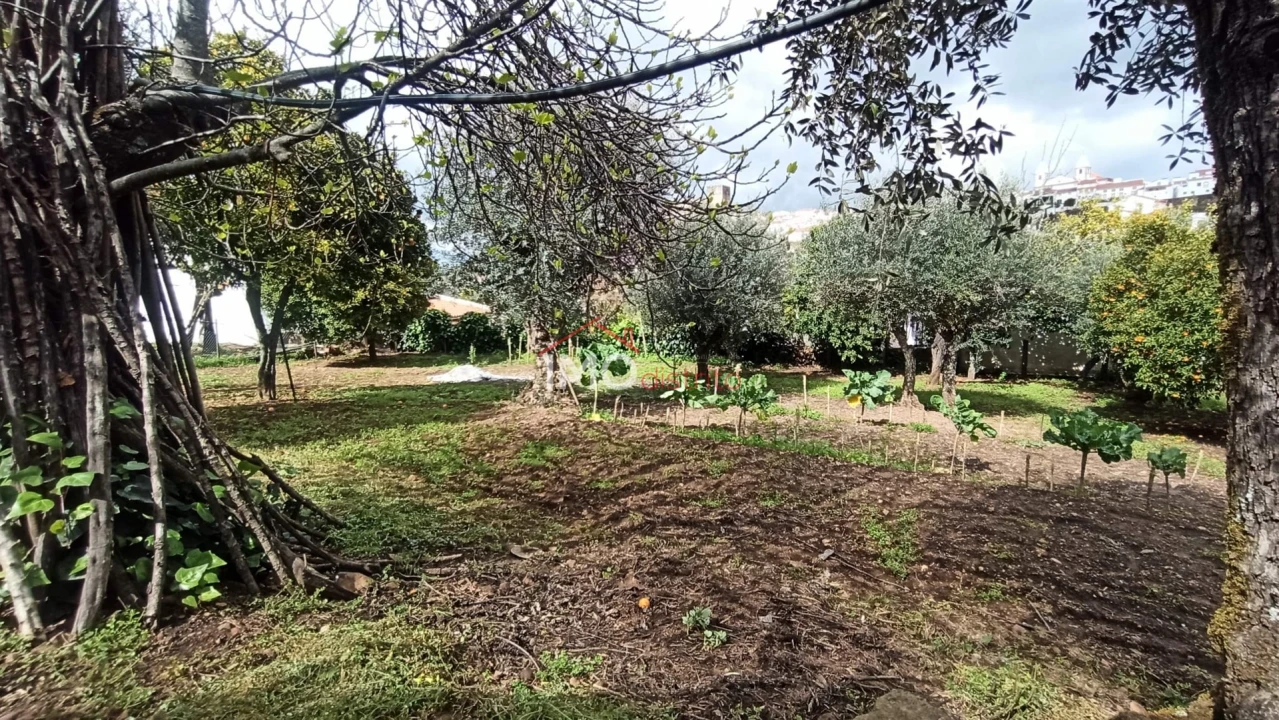 Moradia T3 para Venda em São João Baptista Foto 9