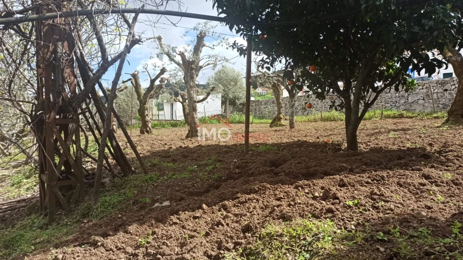 Moradia T3 para Venda em São João Baptista Foto 7